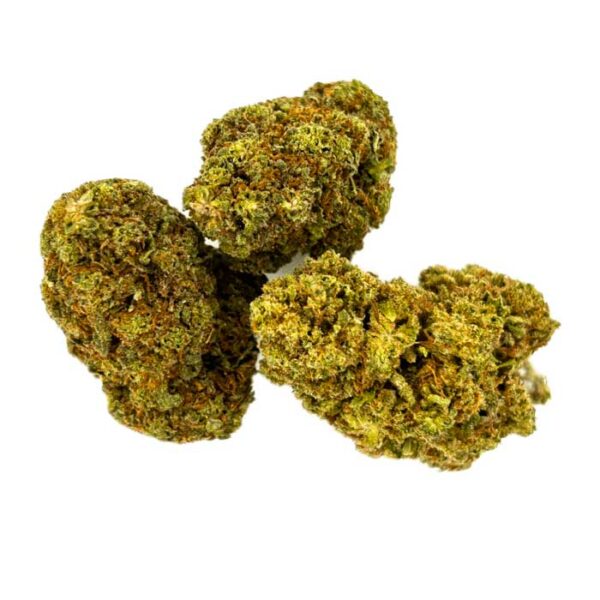 Blueberry – Image 2