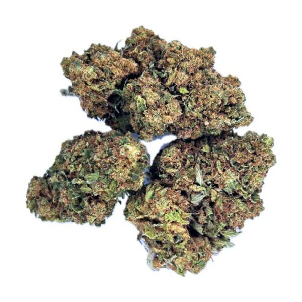 Orange Bud – Image 2