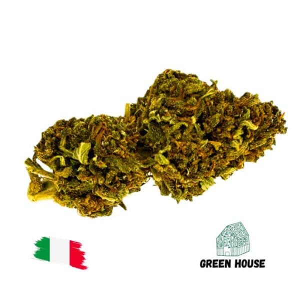 Purple Punch
