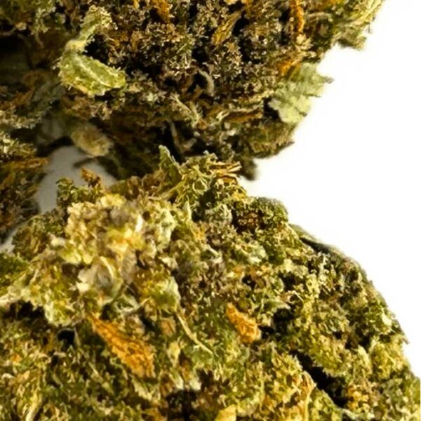 Purple Punch – Image 3