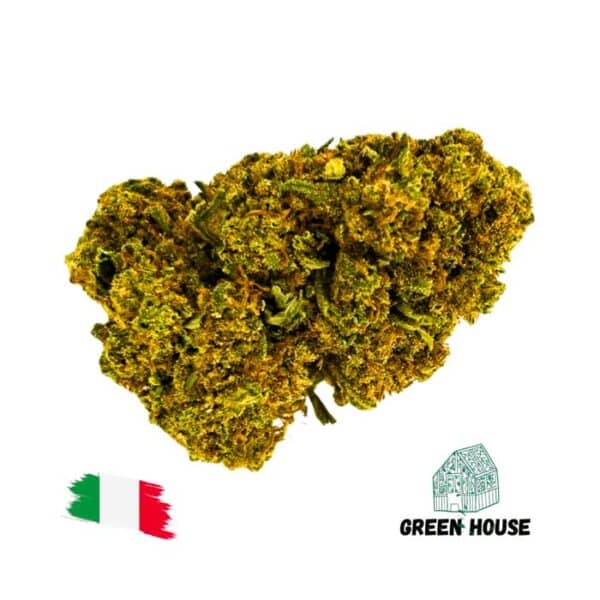 White Widow
