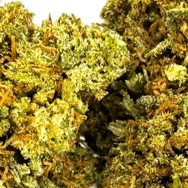 White Widow – Image 3