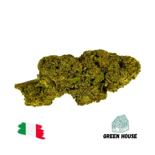 Jack Herer