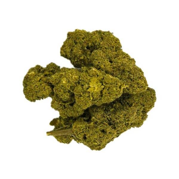 Jack Herer – Image 2