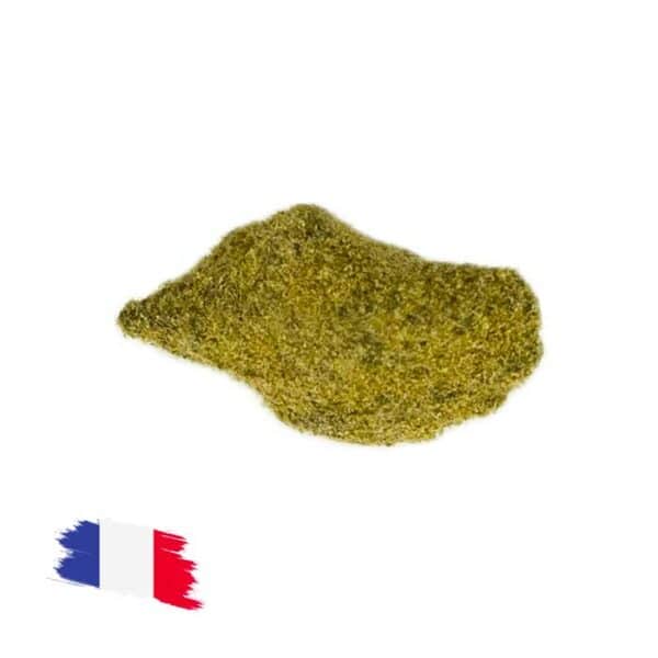 Moon Rock