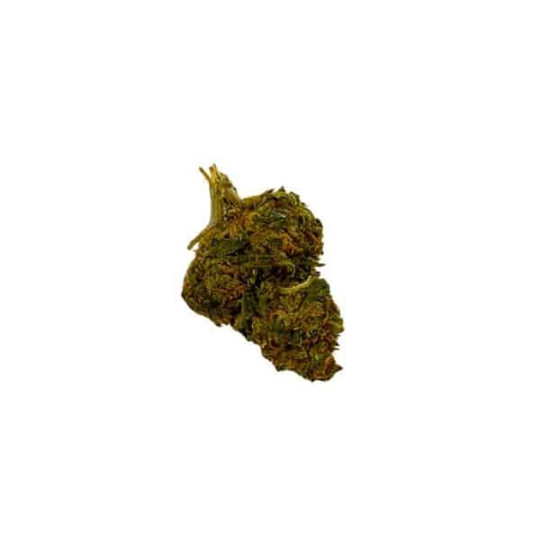 Small Bud Og Kush