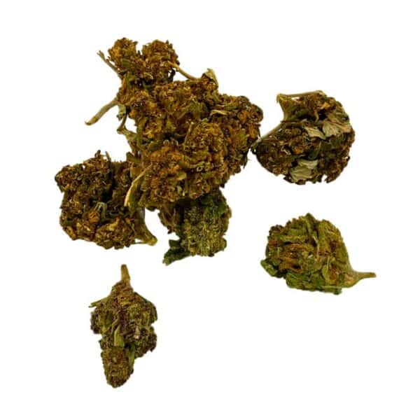 Small Bud Purple – Image 2