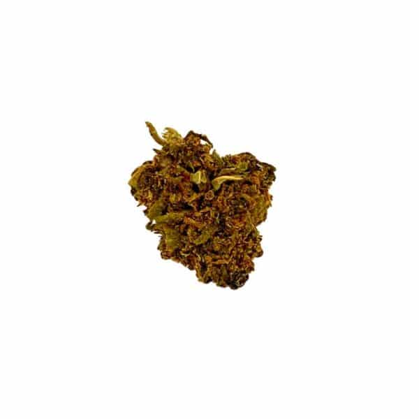 Small Bud Purple
