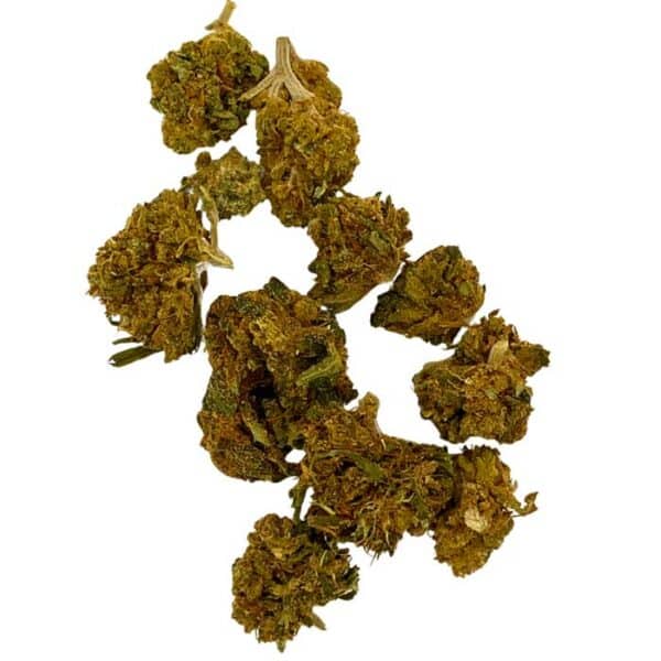 Small Bud Super Lemon – Image 2