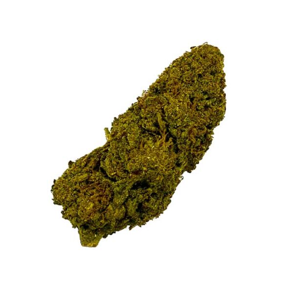 California Haze Hydro