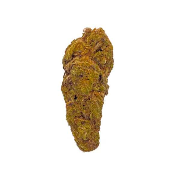 Plutonium Indoor