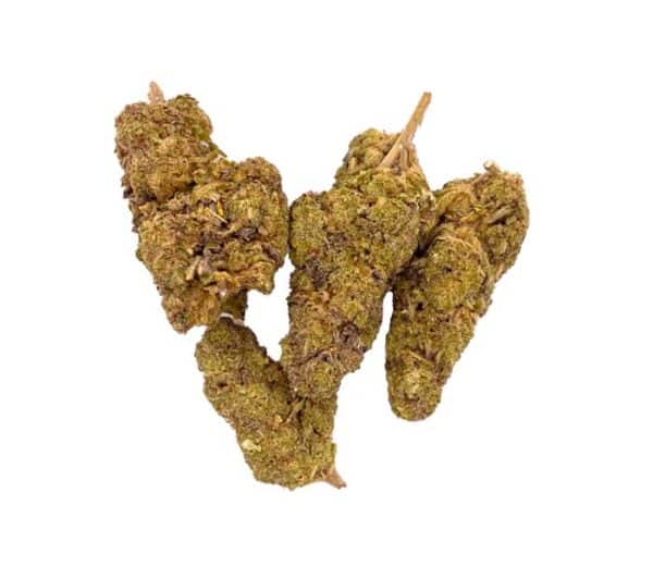 Plutonium Indoor – Image 2
