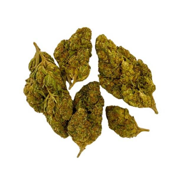 Harlequin Hydro – Image 2