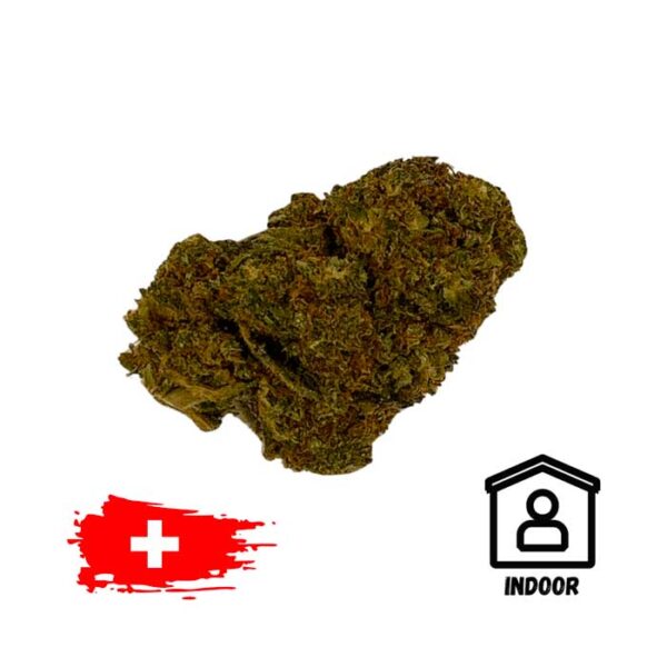 Og Strawberry Indoor