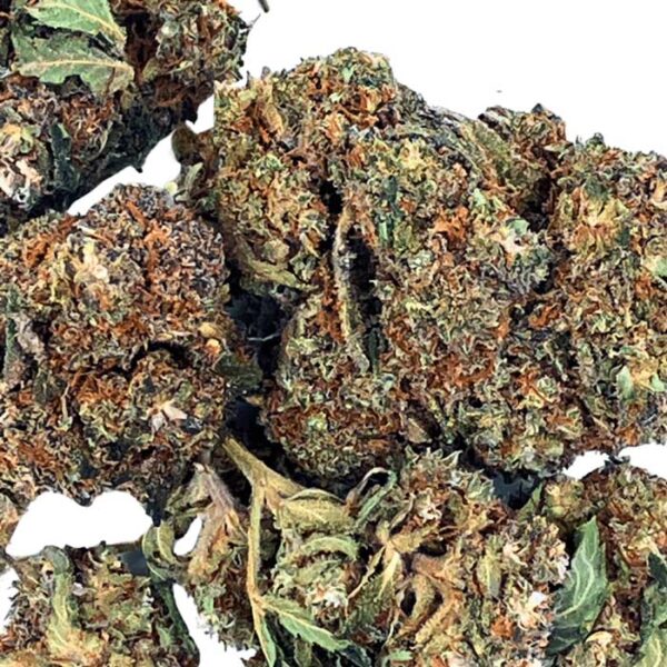 Og Strawberry Indoor – Image 3