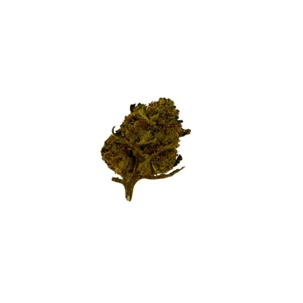 Small Bud Amnésia