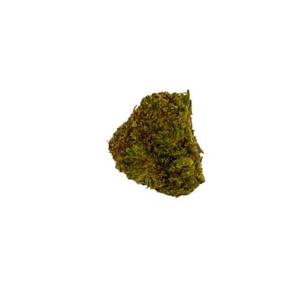 Small Bud Amnésia Indoor