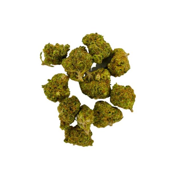 Small Bud Gelato Indoor – Image 2