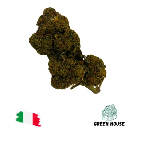 White Widow 10-OH-HHC