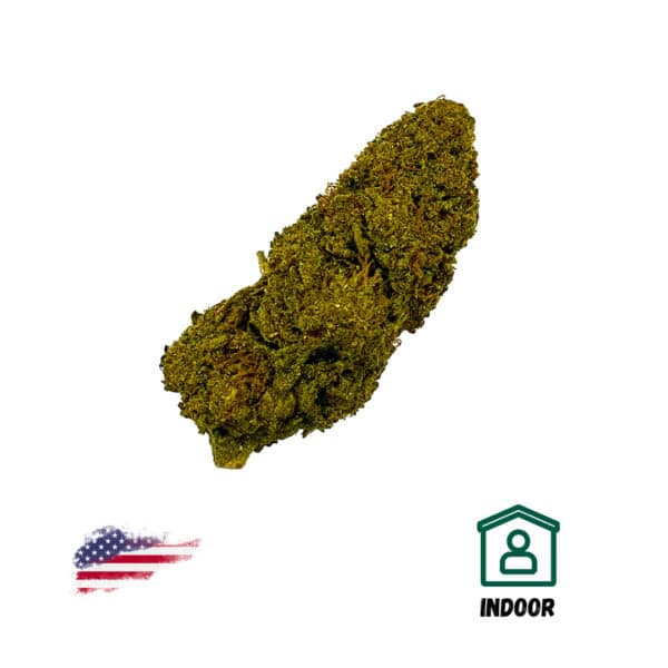 California Haze Hydro