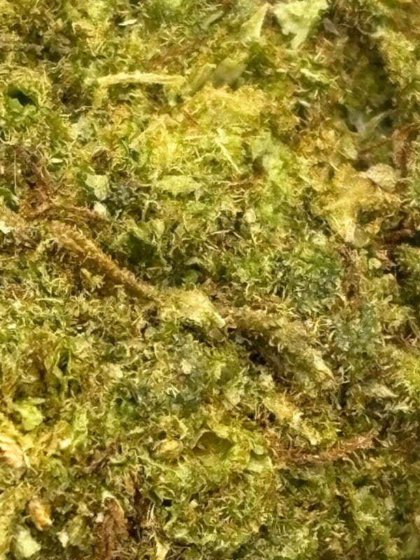 California Frozen Hydro – Image 3