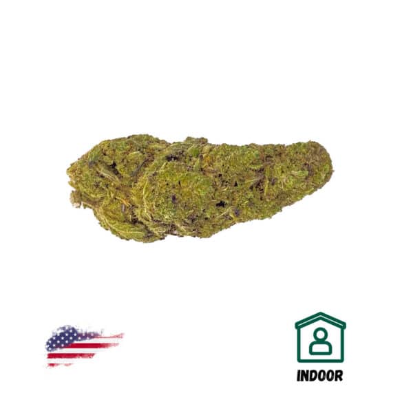 Plutonium Indoor